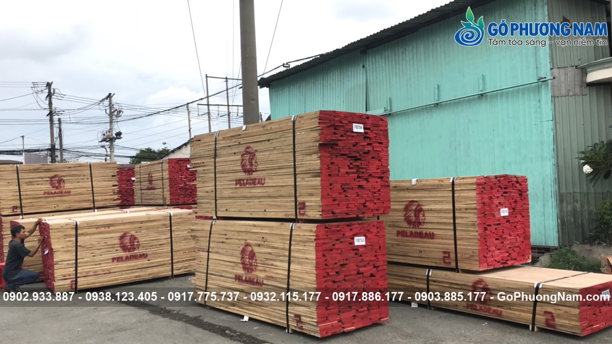Cung cấp gỗ sồi cho nội thất uy tín tại Việt Nam