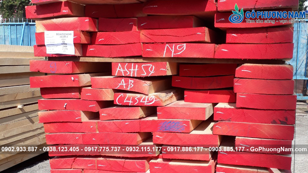 Giá gỗ tần bì xẻ sấy giá bao nhiêu một khối hiện nay