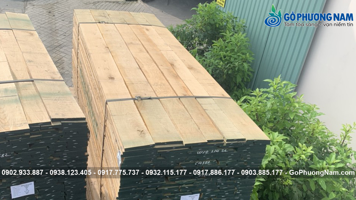 giá sỉ gỗ sồi trắng nguyên liệu