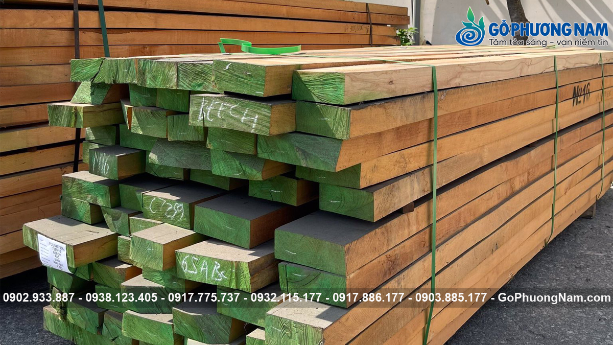 Gỗ dẻ gai Bình Dương cho xưởng nội thất