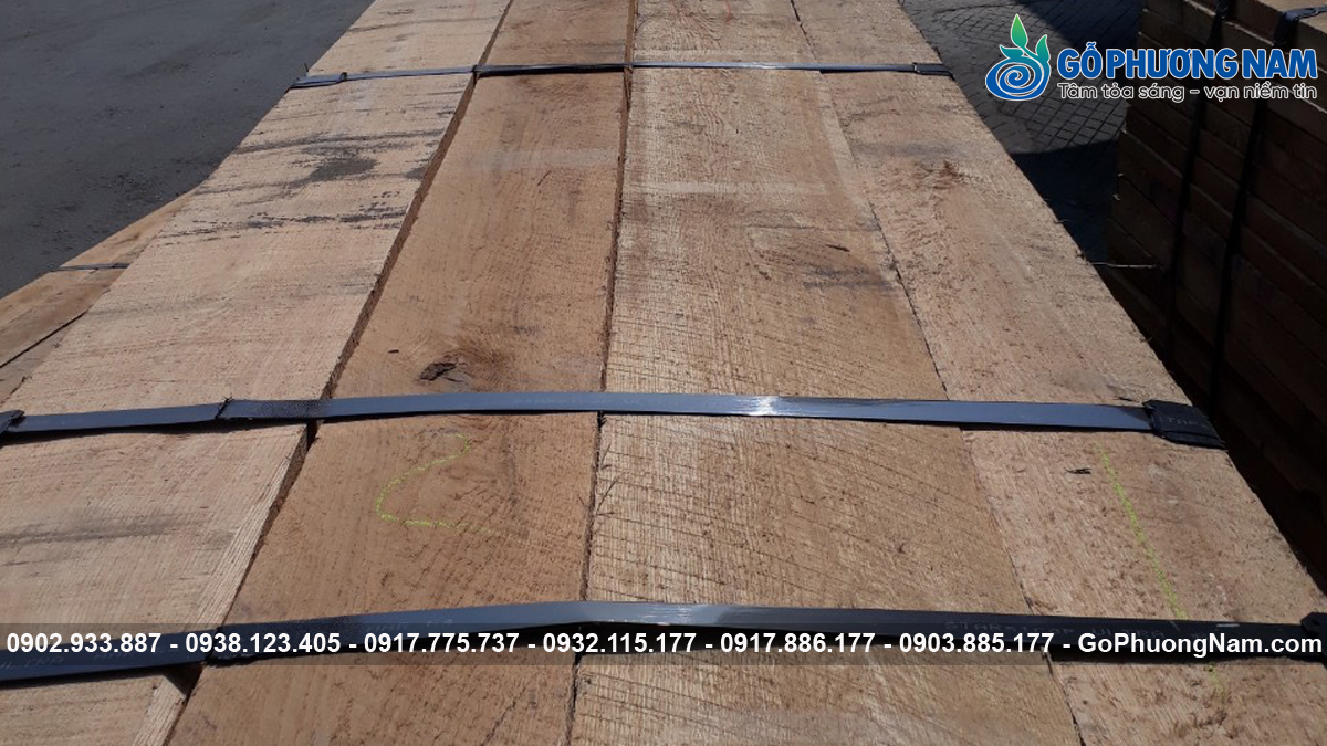 Gỗ sồi nhập khẩu số lượng lớn từ nhà cung cấp Gỗ sồi nhập khẩu số lượng lớn từ nhà cung cấp