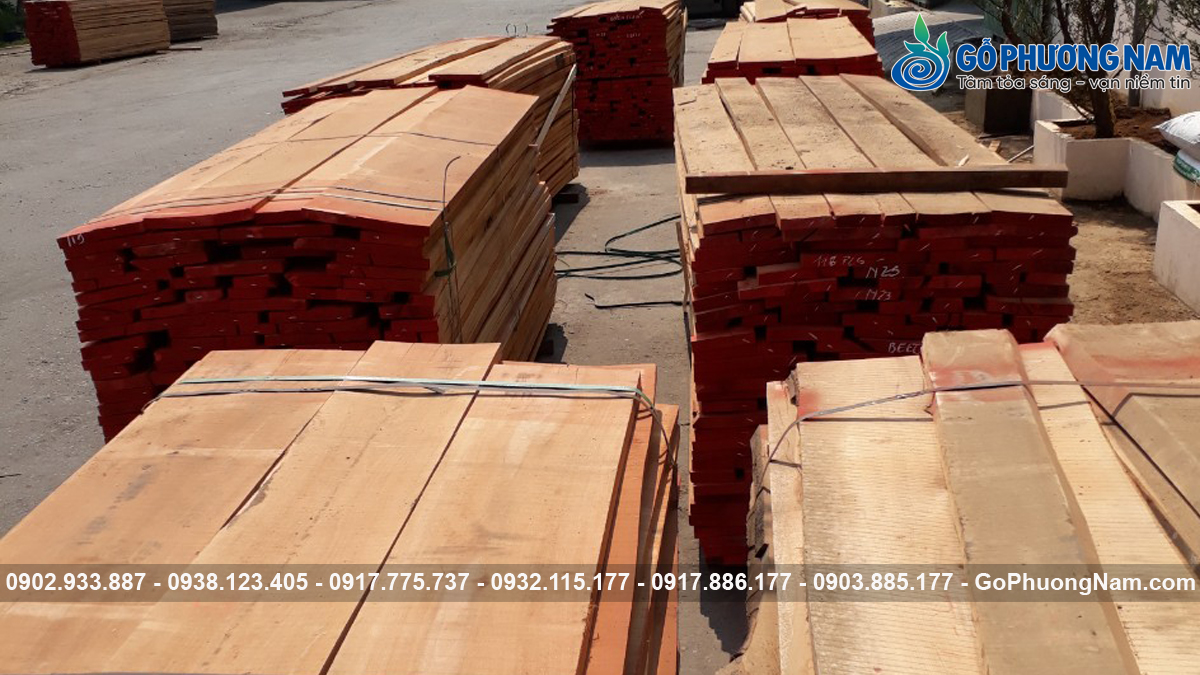 Kho gỗ dẻ gai uy tín tại Bình Dương giá tốt