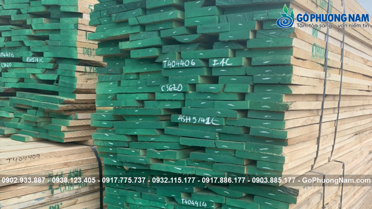 Mua gỗ tần bì giá sỉ lớn tại kho