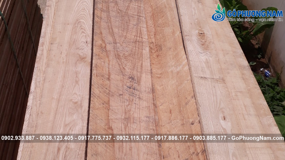 Báo giá gỗ tần bì xẻ sấy mới nhất hôm nay
