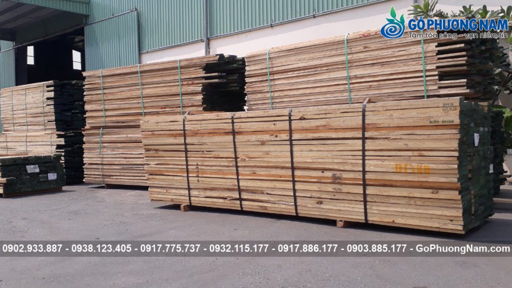 Báo giá gỗ tần bì xẻ sấy mới nhất theo 1m3