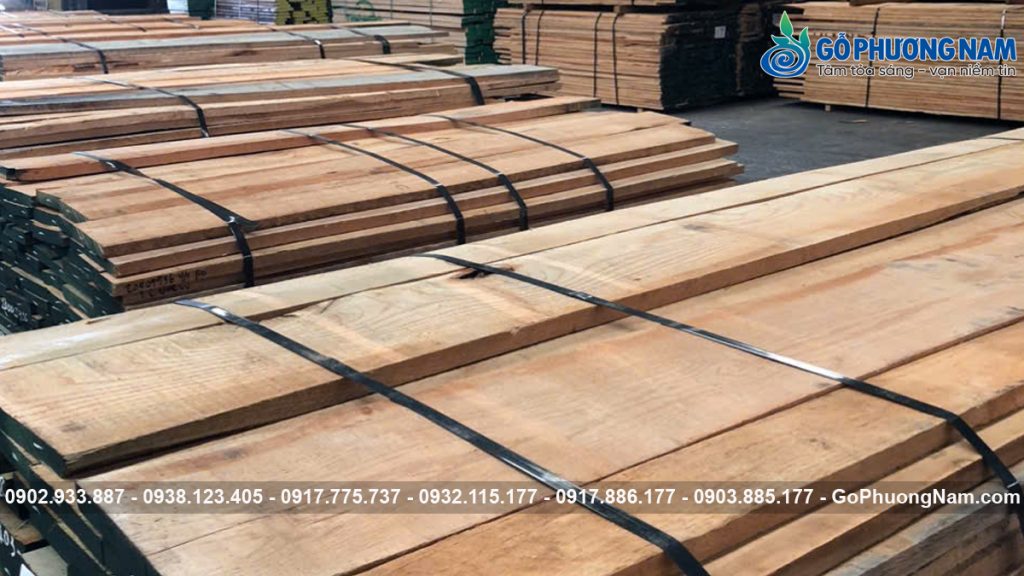 giá gỗ sồi đỏ bao nhiêu một khối trong năm nay