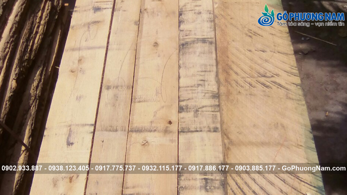 Giá gỗ sồi nhập khẩu số lượng lớn mới nhất Giá gỗ sồi nhập khẩu số lượng lớn mới nhất