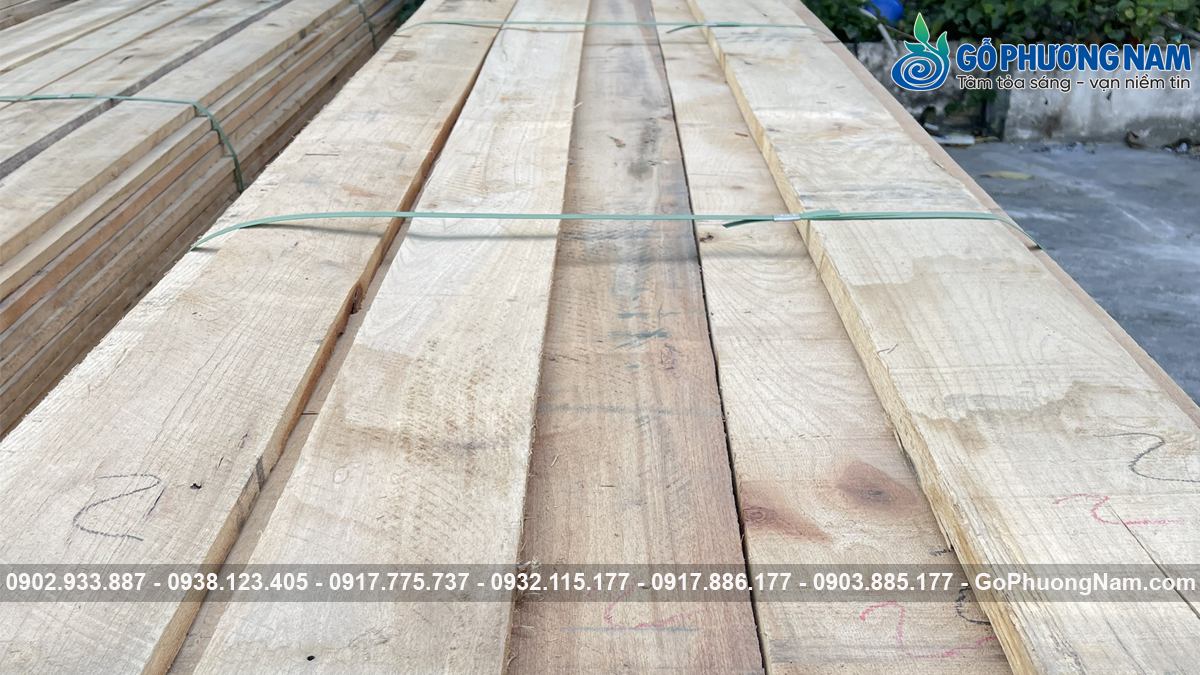 Gỗ sồi đỏ xẻ sấy giá tốt tại kho Gỗ sồi đỏ xẻ sấy giá tốt tại kho
