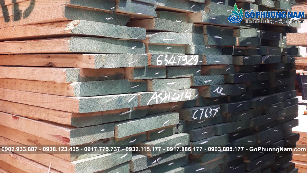 Gỗ tần bì xẻ sấy báo giá hôm nay bao nhiêu
