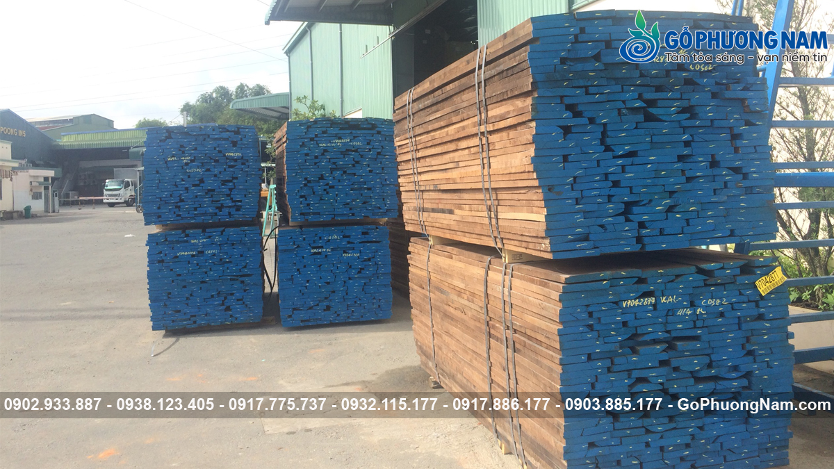 Tiêu chí chọn gỗ óc chó cho xưởng mộc Tiêu chí chọn gỗ óc chó cho xưởng mộc