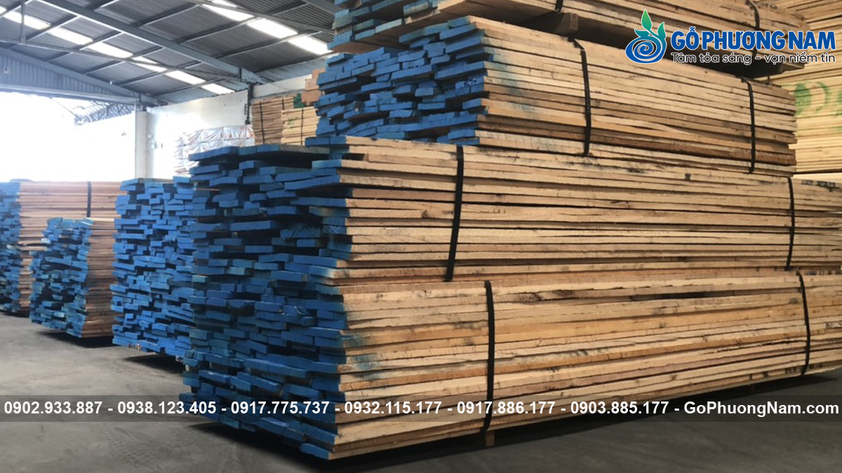 Tiêu chí chọn gỗ sồi chuẩn nội thất đẹp Tiêu chí chọn gỗ sồi chuẩn nội thất đẹp