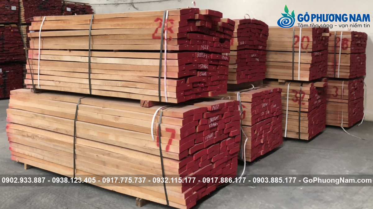 Đặc tính và ứng dụng của gỗ Beech nhập khẩu Đặc tính và ứng dụng của gỗ Beech nhập khẩu