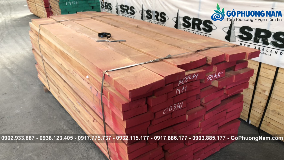 Đặc tính và ứng dụng của gỗ Beech xẻ sấy Đặc tính và ứng dụng của gỗ Beech xẻ sấy