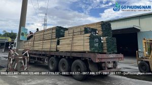 Giá gỗ tần bì bao nhiêu tiền một khối mới nhất