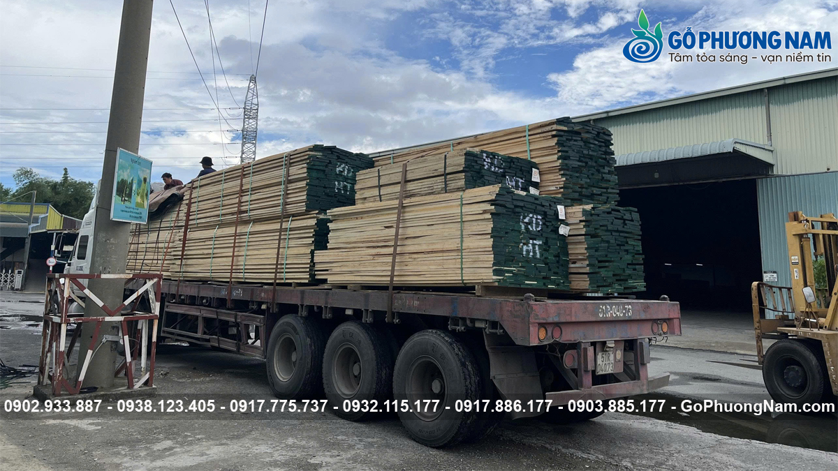 Giá gỗ tần bì bao nhiêu tiền một khối mới nhất Giá gỗ tần bì bao nhiêu tiền một khối mới nhất