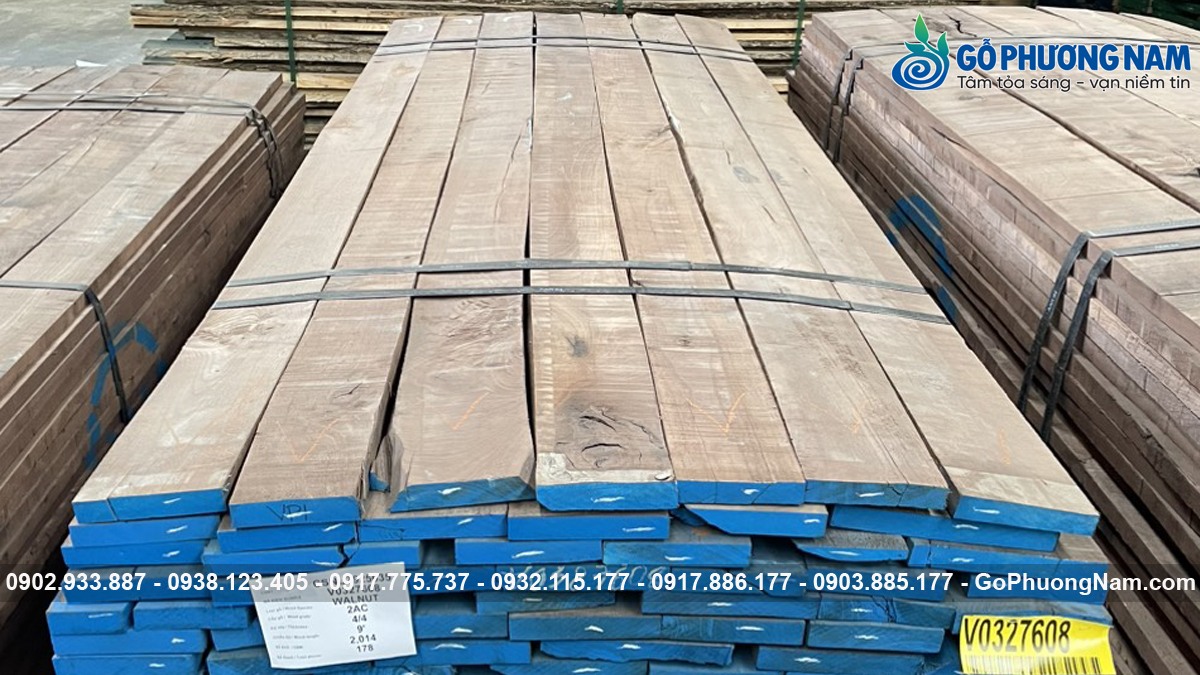 Báo giá gỗ óc chó 1m3 mới nhất Báo giá gỗ óc chó 1m3 mới nhất