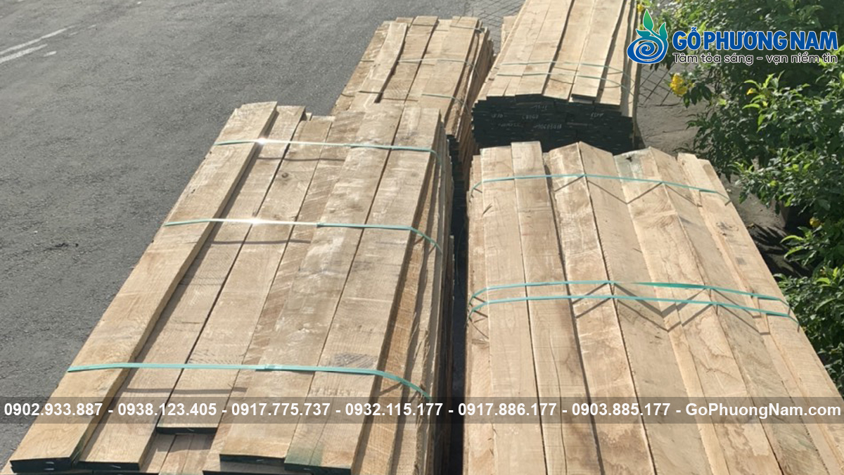 Báo giá gỗ sồi Mỹ mới nhất hôm nay