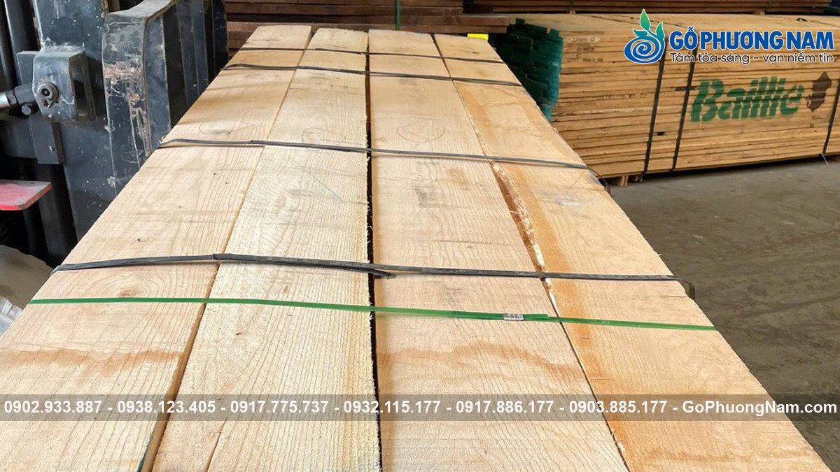 Cách phân biệt gỗ sồi trắng và sồi đỏ chất lượng Cách phân biệt gỗ sồi trắng và sồi đỏ chất lượng