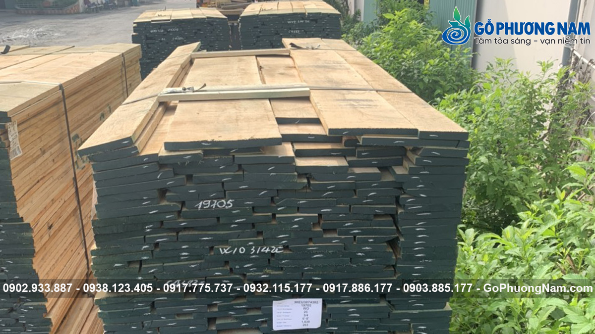 Công ty cung cấp gỗ sồi ở Bình Dương Công ty cung cấp gỗ sồi ở Bình Dương