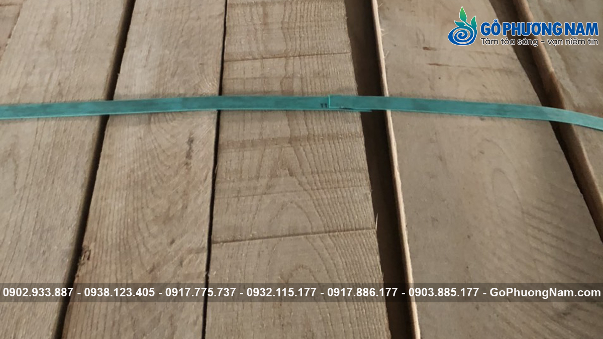 Địa chỉ mua gỗ tần bì Bình Dương