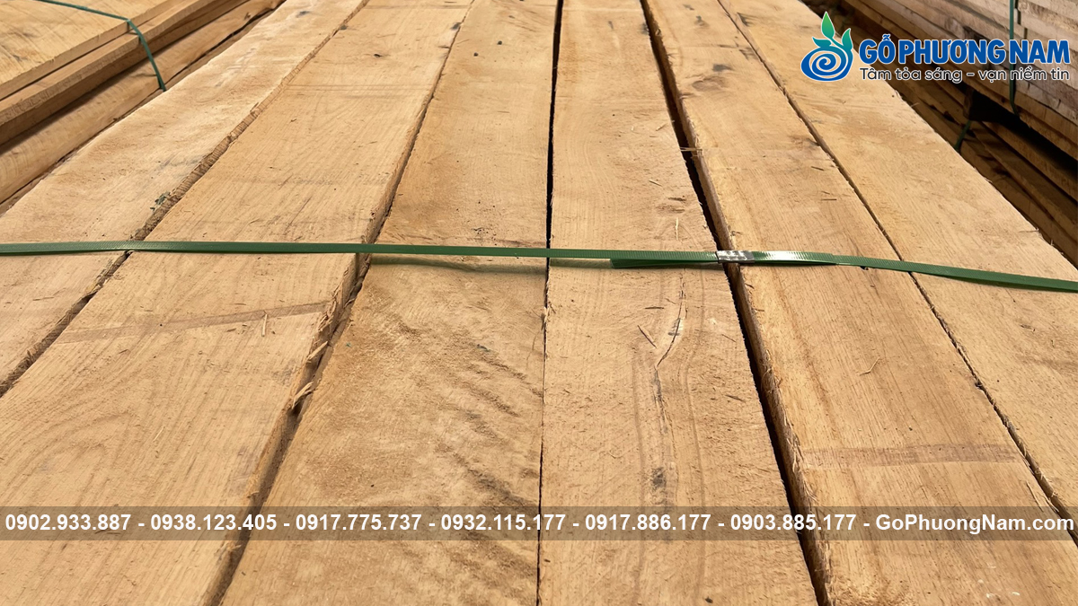 Gỗ sồi Mỹ giá bao nhiêu 1m3 Gỗ sồi Mỹ giá bao nhiêu 1m3