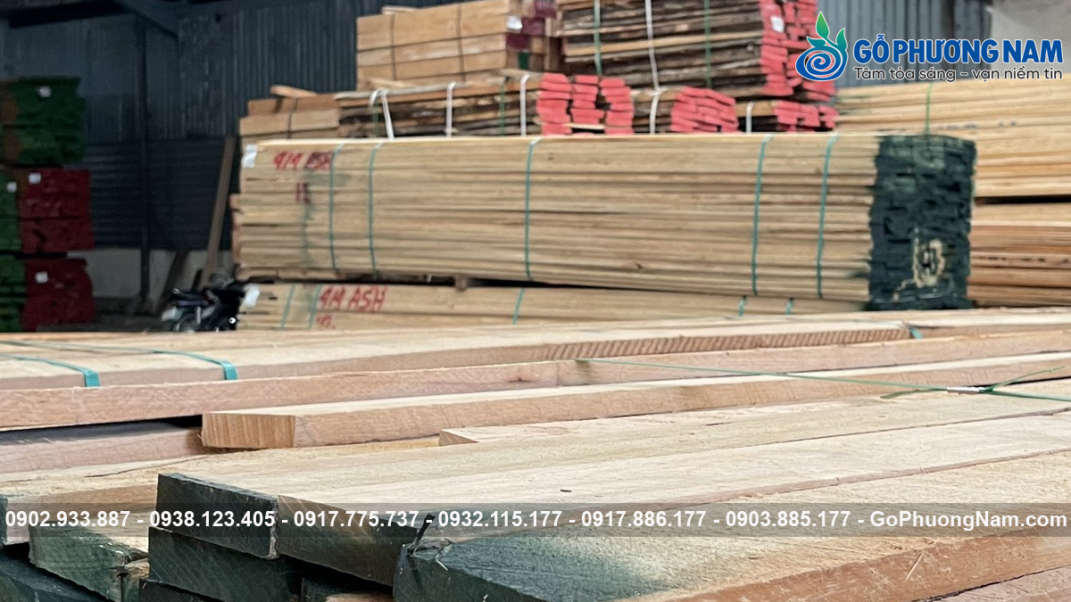 Gỗ sồi nhập khẩu uy tín Gỗ sồi nhập khẩu uy tín