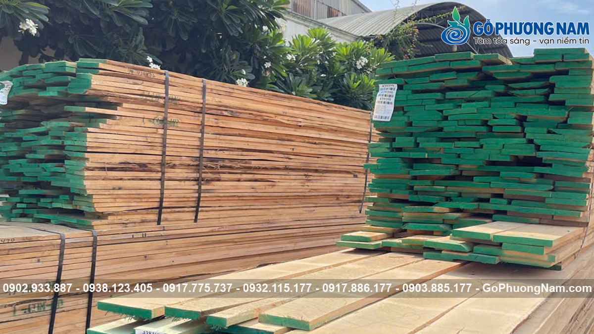 Gỗ sồi trắng giá bao nhiêu một khối năm nay