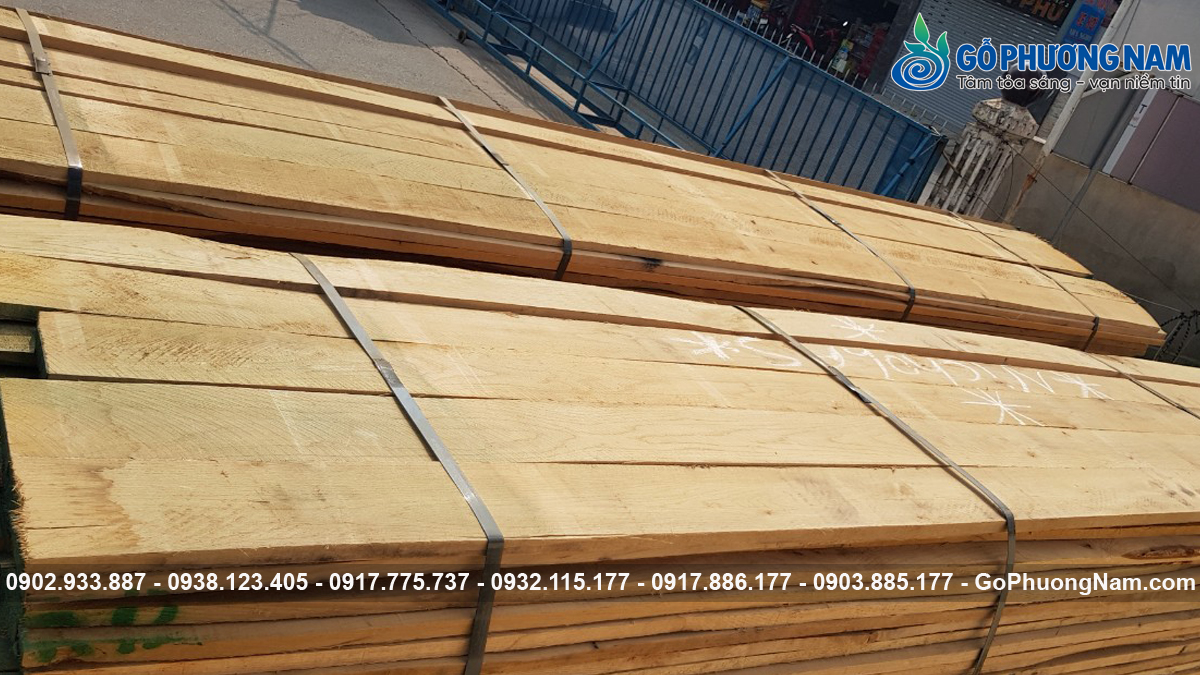 Mua gỗ sồi Mỹ giá sỉ cho xưởng mộc
