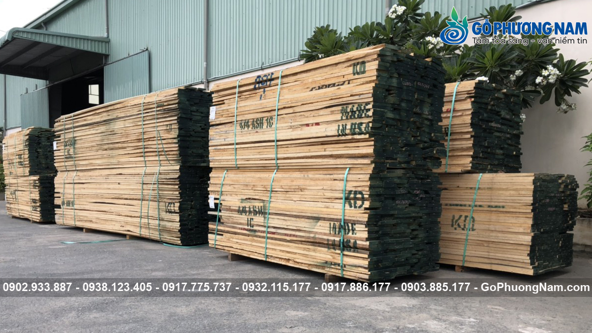 Mua gỗ tần bì ở Bình Dương