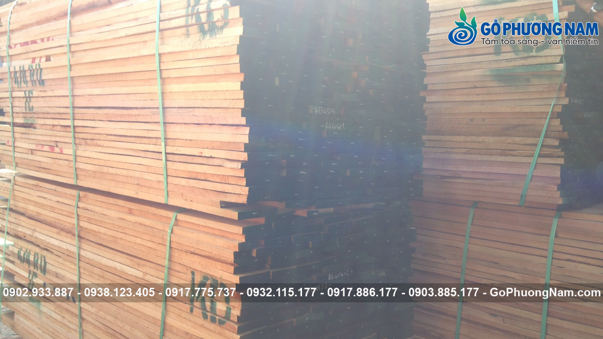 Địa chỉ bán gỗ sồi đỏ nhập khẩu uy tín giá kho rẻ Địa chỉ bán gỗ sồi đỏ nhập khẩu uy tín giá kho rẻ