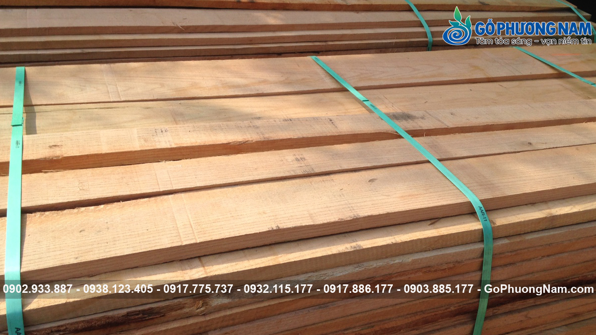 Địa chỉ bán gỗ sồi đỏ nhập khẩu uy tín Địa chỉ bán gỗ sồi đỏ nhập khẩu uy tín