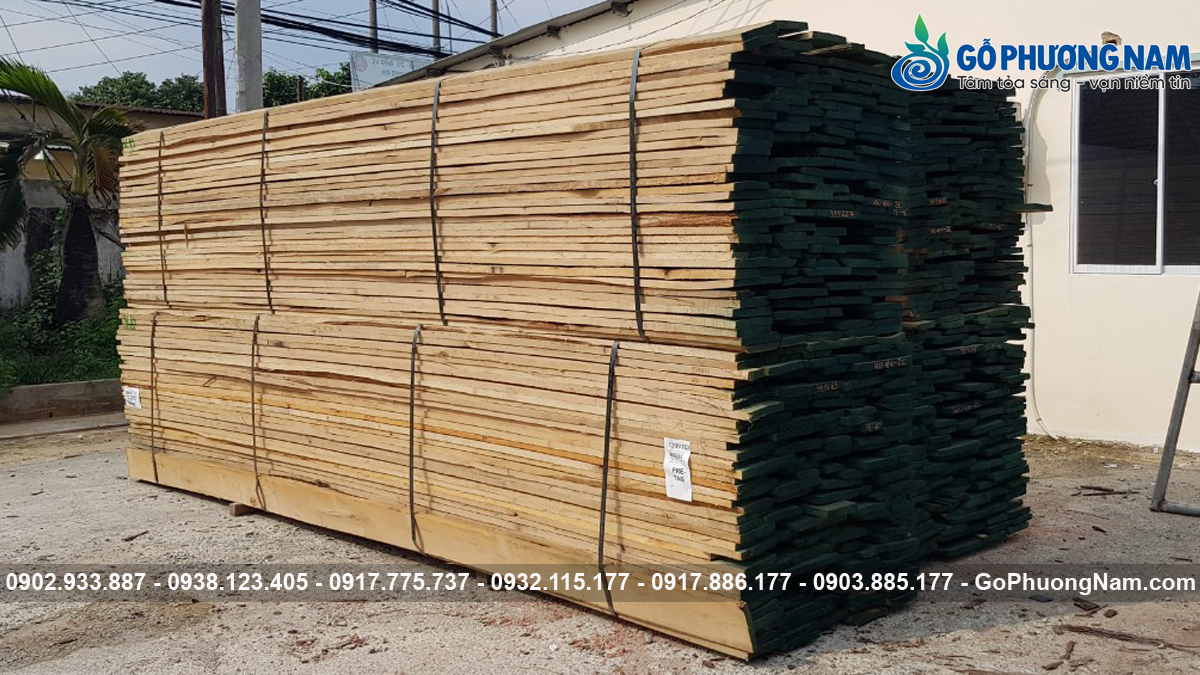 Địa chỉ mua gỗ sồi Bình Dương Địa chỉ mua gỗ sồi Bình Dương