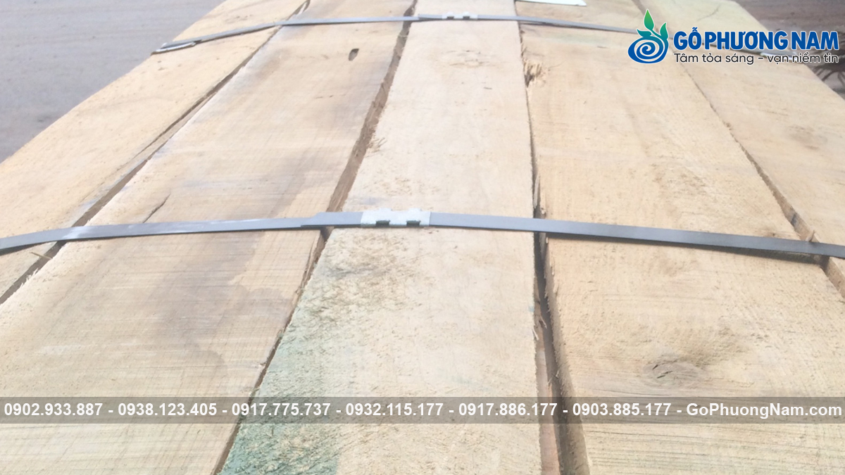 Đơn vị cung cấp gỗ sồi trắng uy tín TPHCM giá tốt Đơn vị cung cấp gỗ sồi trắng uy tín TPHCM giá tốt