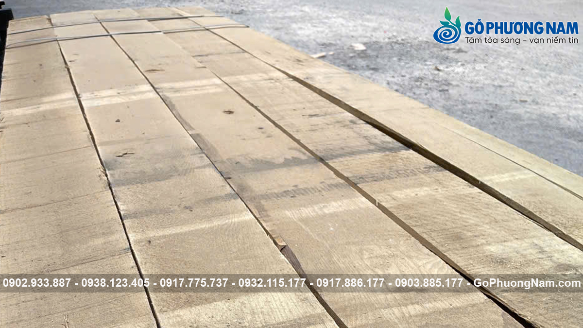 giá mua gỗ sồi trắng xẻ sấy giá mua gỗ sồi trắng xẻ sấy