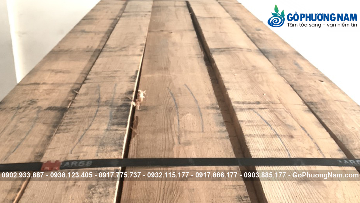 Gỗ sồi đỏ bao nhiêu tiền một mét khối hiện nay
