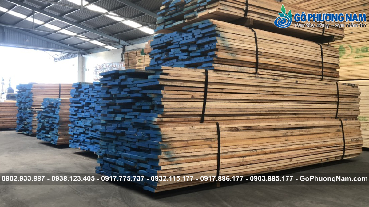 Gỗ sồi đỏ bao nhiêu tiền một mét khối