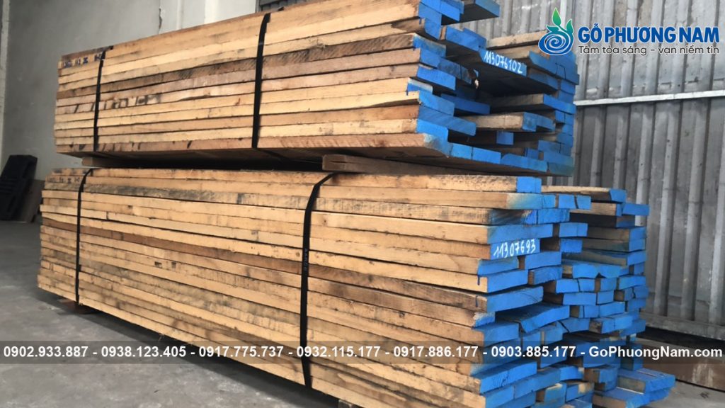 Gỗ sồi đỏ có tốt không