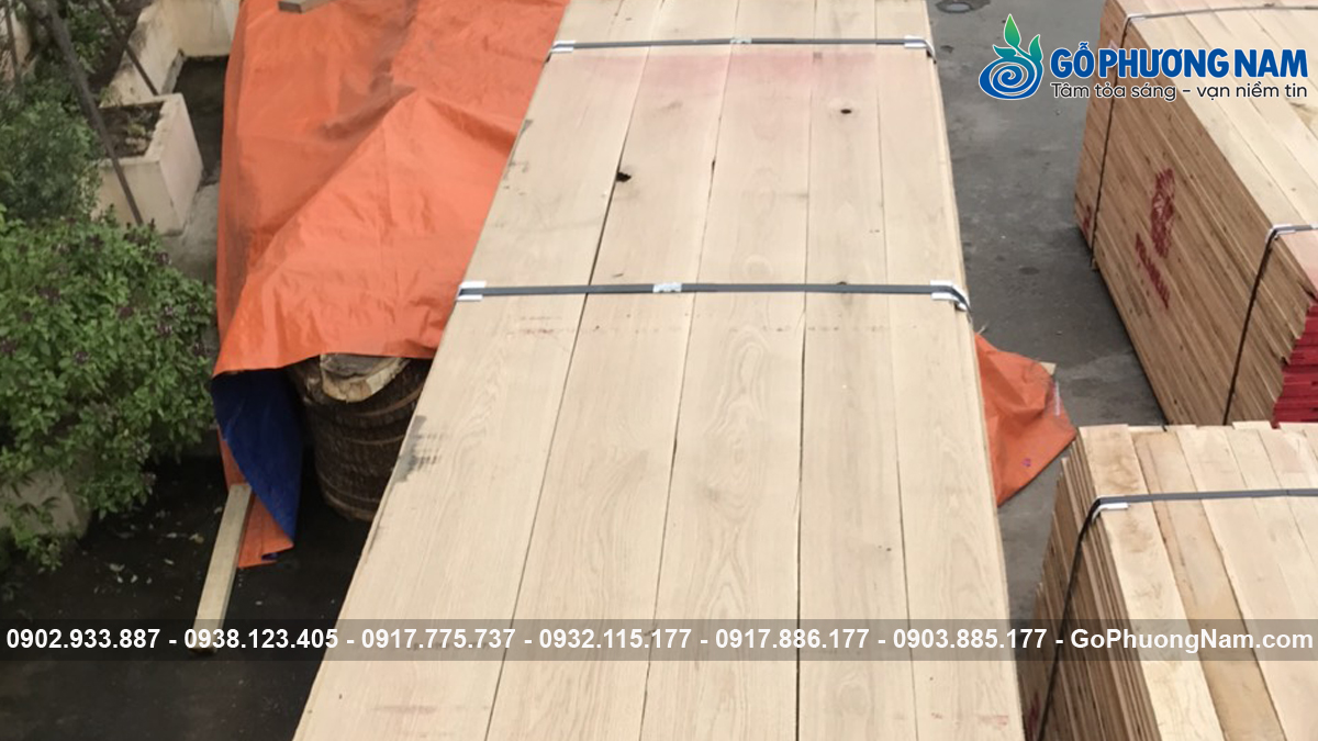gỗ sồi Mỹ nhập khẩu nguyên liệu gỗ sồi Mỹ nhập khẩu nguyên liệu