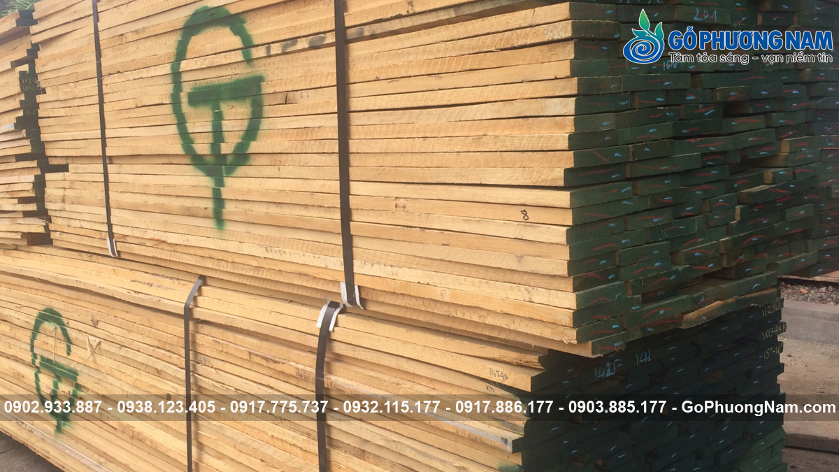 Gỗ sồi trắng xẻ sấy đạt chuẩn Gỗ sồi trắng xẻ sấy đạt chuẩn