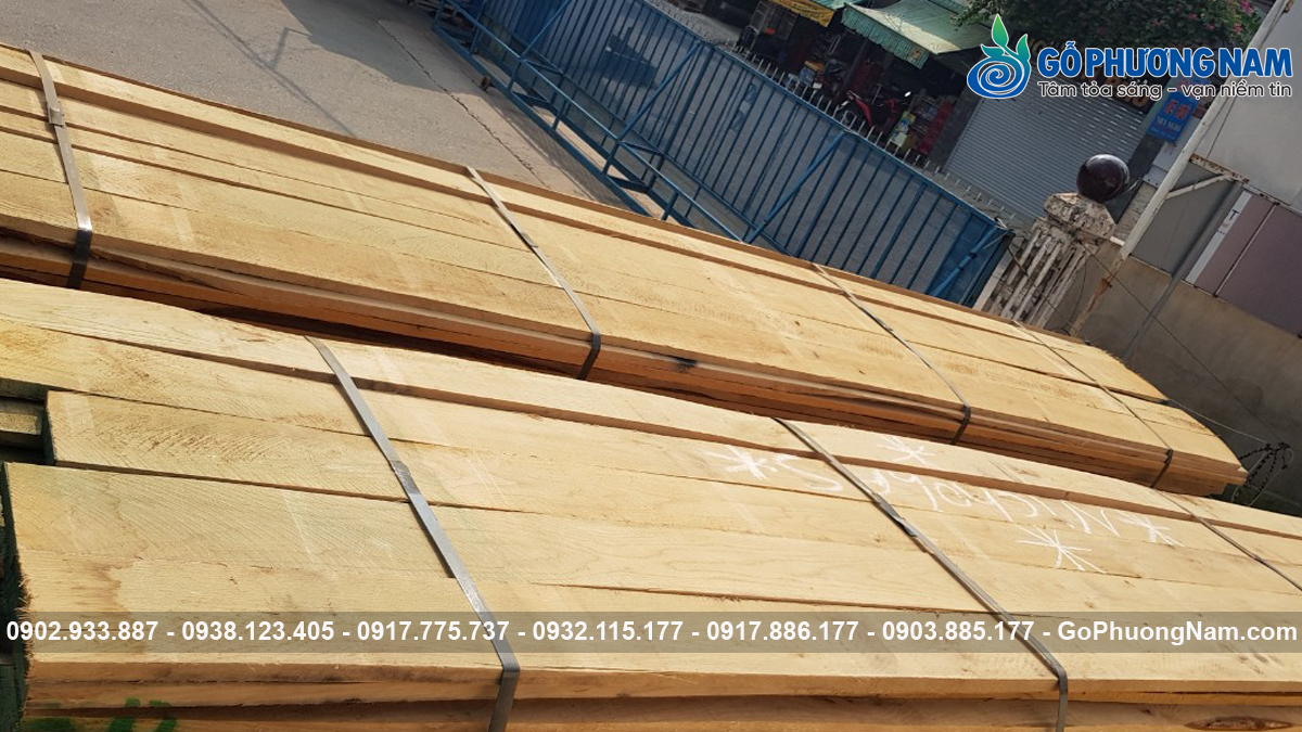 Kho gỗ sồi giá sỉ Bình Dương Kho gỗ sồi giá sỉ Bình Dương