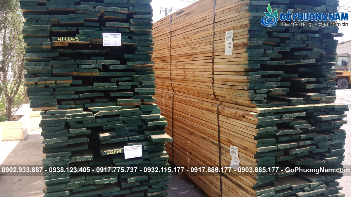 Mua gỗ sồi nguyên liệu ở đâu giá kho rẻ Mua gỗ sồi nguyên liệu ở đâu giá kho rẻ