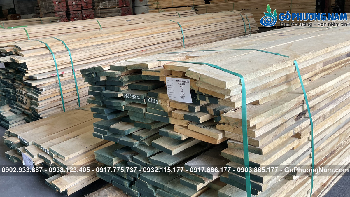 Mua gỗ sồi nguyên liệu ở đâu giá kho Mua gỗ sồi nguyên liệu ở đâu giá kho