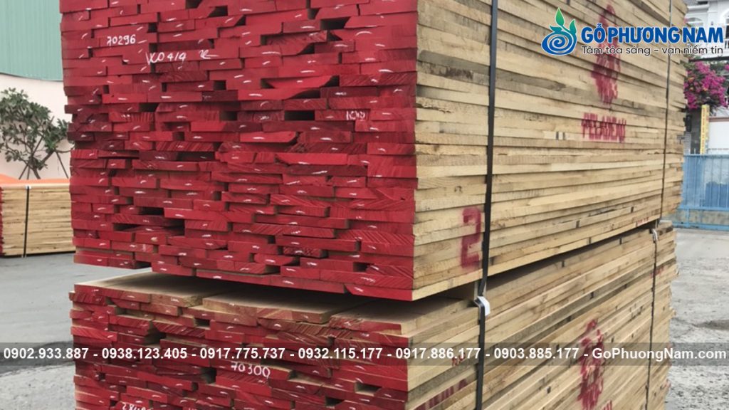 So sánh gỗ tần bì và gỗ sồi cho xưởng mộc chi tiết