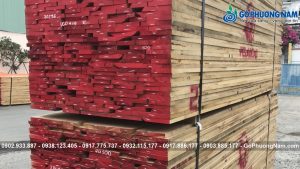 So sánh gỗ tần bì và gỗ sồi cho xưởng mộc chi tiết