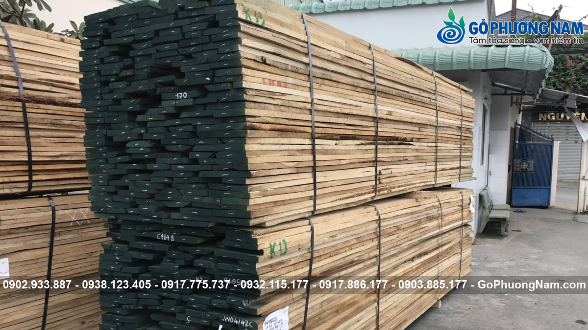 Địa chỉ bán gỗ sồi giá rẻ sấy chuẩn Địa chỉ bán gỗ sồi giá rẻ sấy chuẩn