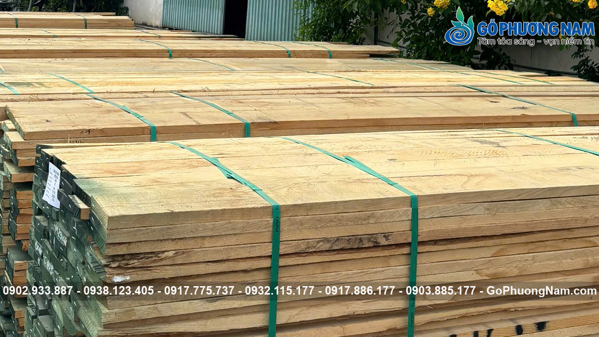 Giá gỗ tần bì bao nhiêu 1 khối hiện tại Giá gỗ tần bì bao nhiêu 1 khối hiện tại