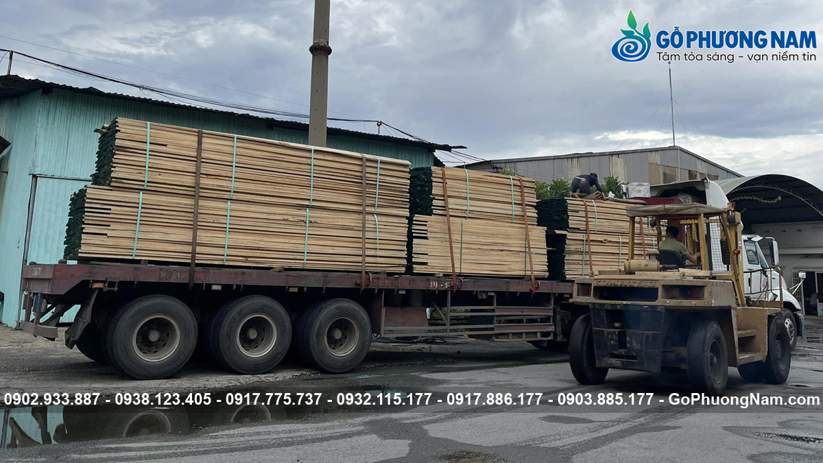 Giá gỗ tần bì bao nhiêu 1 khối Giá gỗ tần bì bao nhiêu 1 khối