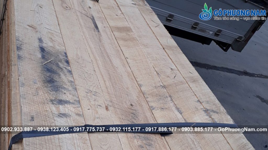 Gỗ Nguyên Liệu Nhập Khẩu: Sồi, Óc Chó, Tần Bì Xẻ Sấy | Gỗ Phương Nam