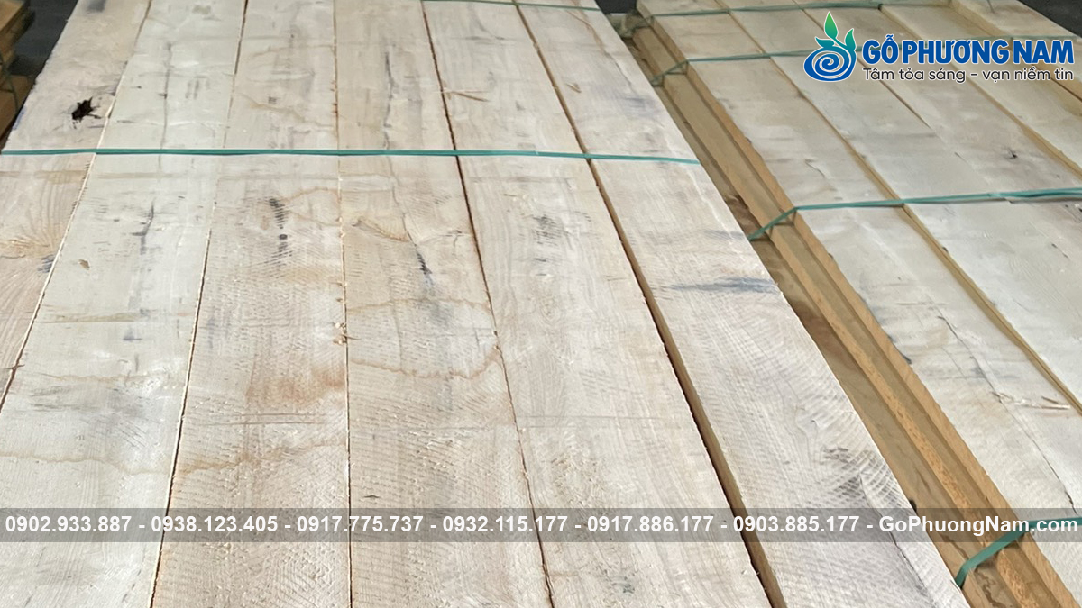 Gỗ tần bì nhập khẩu giá bao nhiêu tiền năm nay