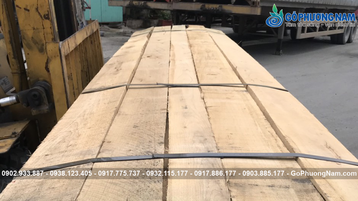 gỗ sồi nguyên liệu giá kho gỗ sồi nguyên liệu giá kho